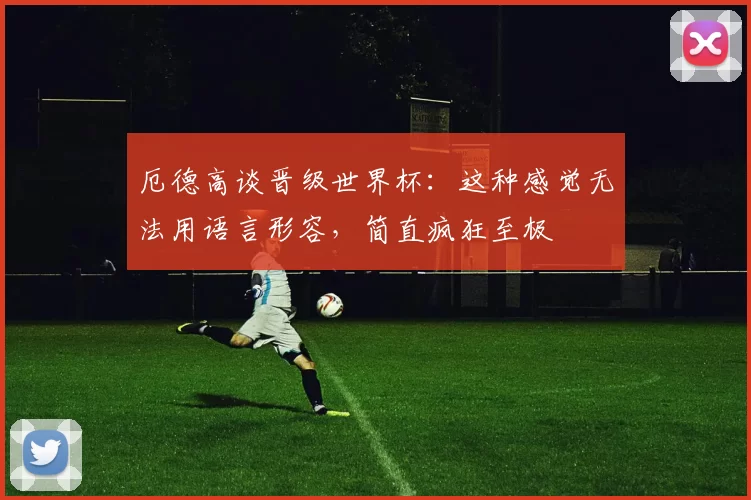 厄德高谈晋级世界杯：这种感觉无法用语言形容，简直疯狂至极