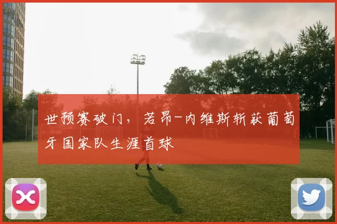 世预赛破门，若昂-内维斯斩获葡萄牙国家队生涯首球