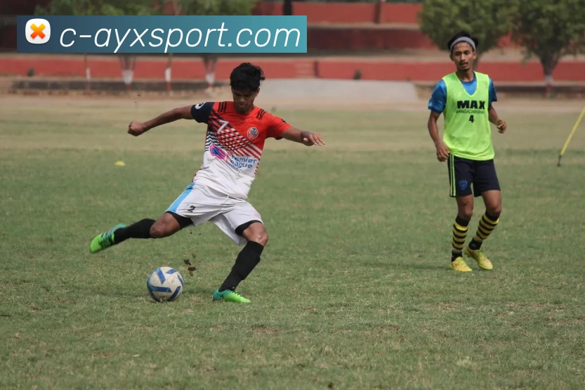 爱游戏官网服务体系