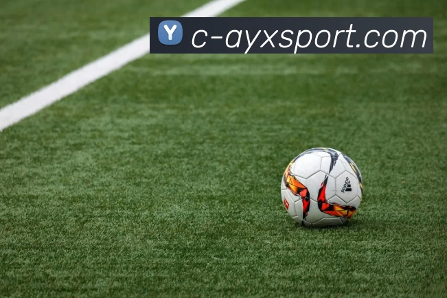 爱游戏官网APP 体育赛事宣传图